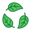 ecology